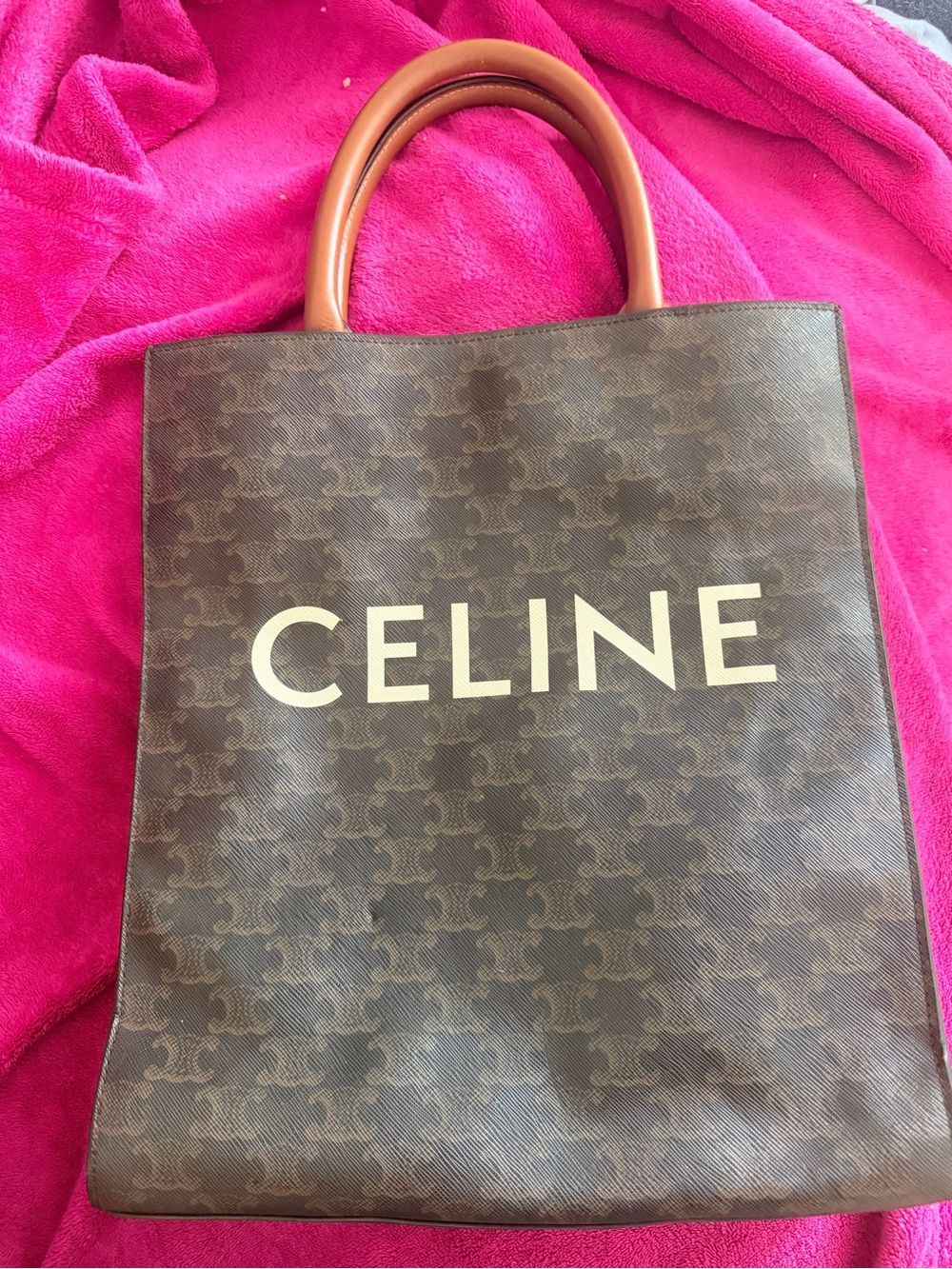 Celine Triomphe Canvas Vertical Cabas Tote - Picture 2 of 9